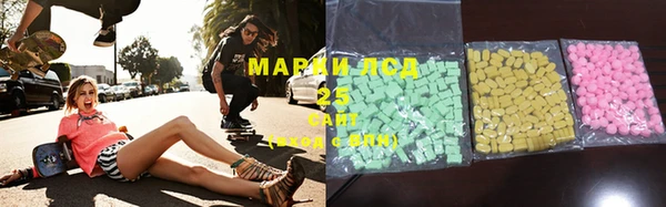 spice Ельня