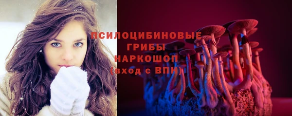 герыч Елабуга
