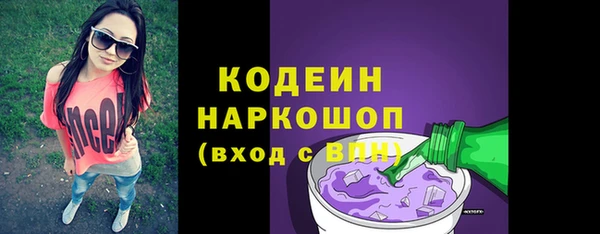 spice Ельня