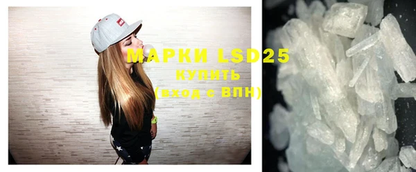 spice Ельня