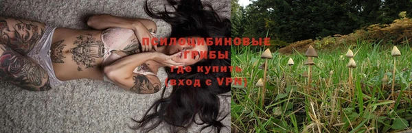 герыч Елабуга