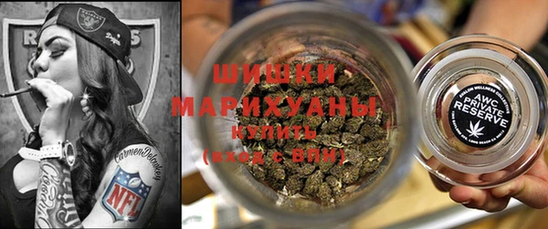 spice Ельня