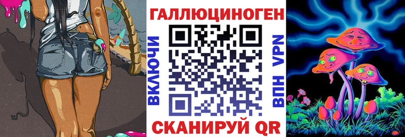 Купить закладки  Камызяк  Псилоцибиновые грибы Psilocybe 